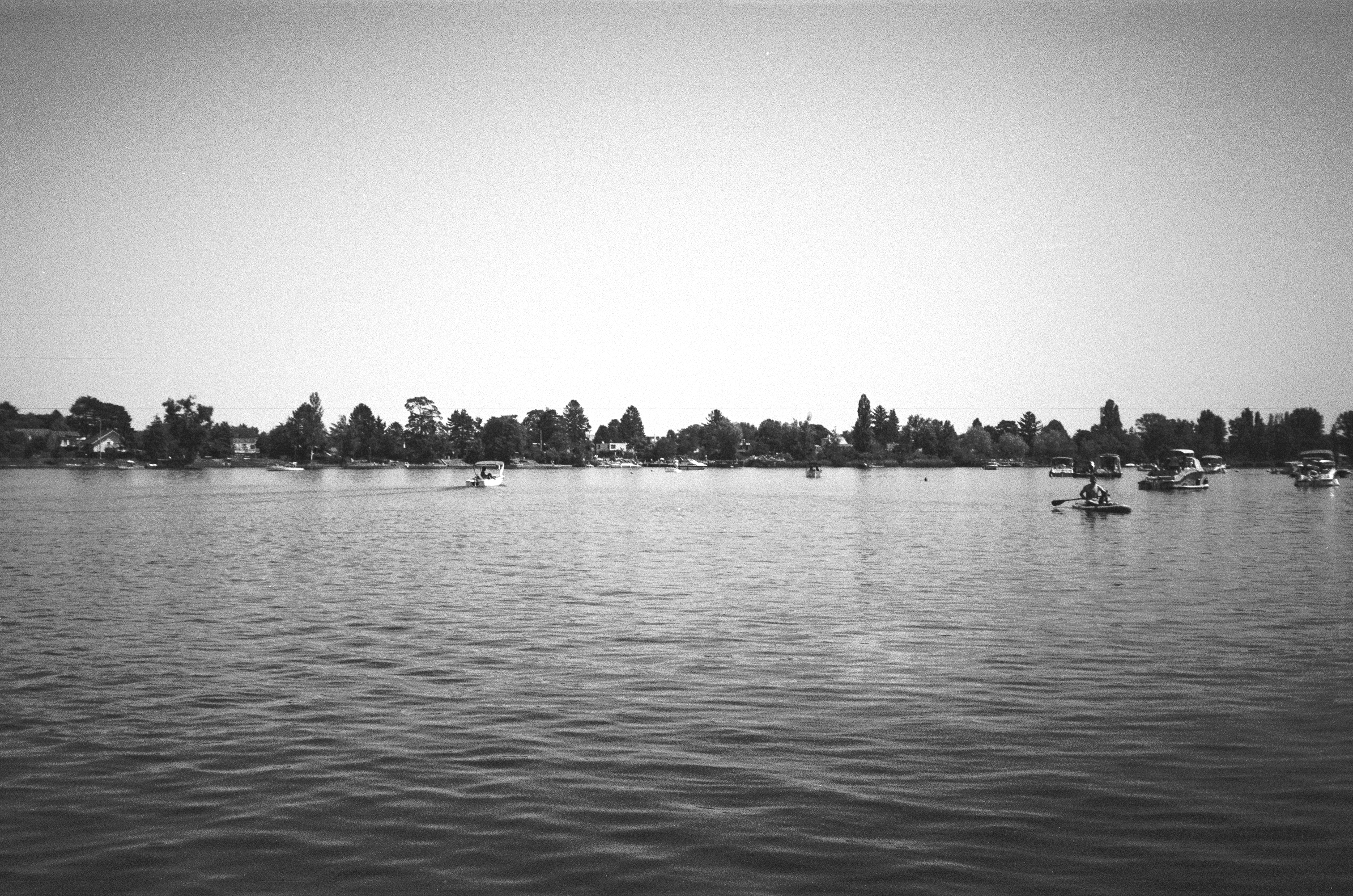 Beinahe Öffentlich, 2025 – Blick über die Alte Donau mit Booten, Stand-up-Paddler und bewaldetem Ufer.