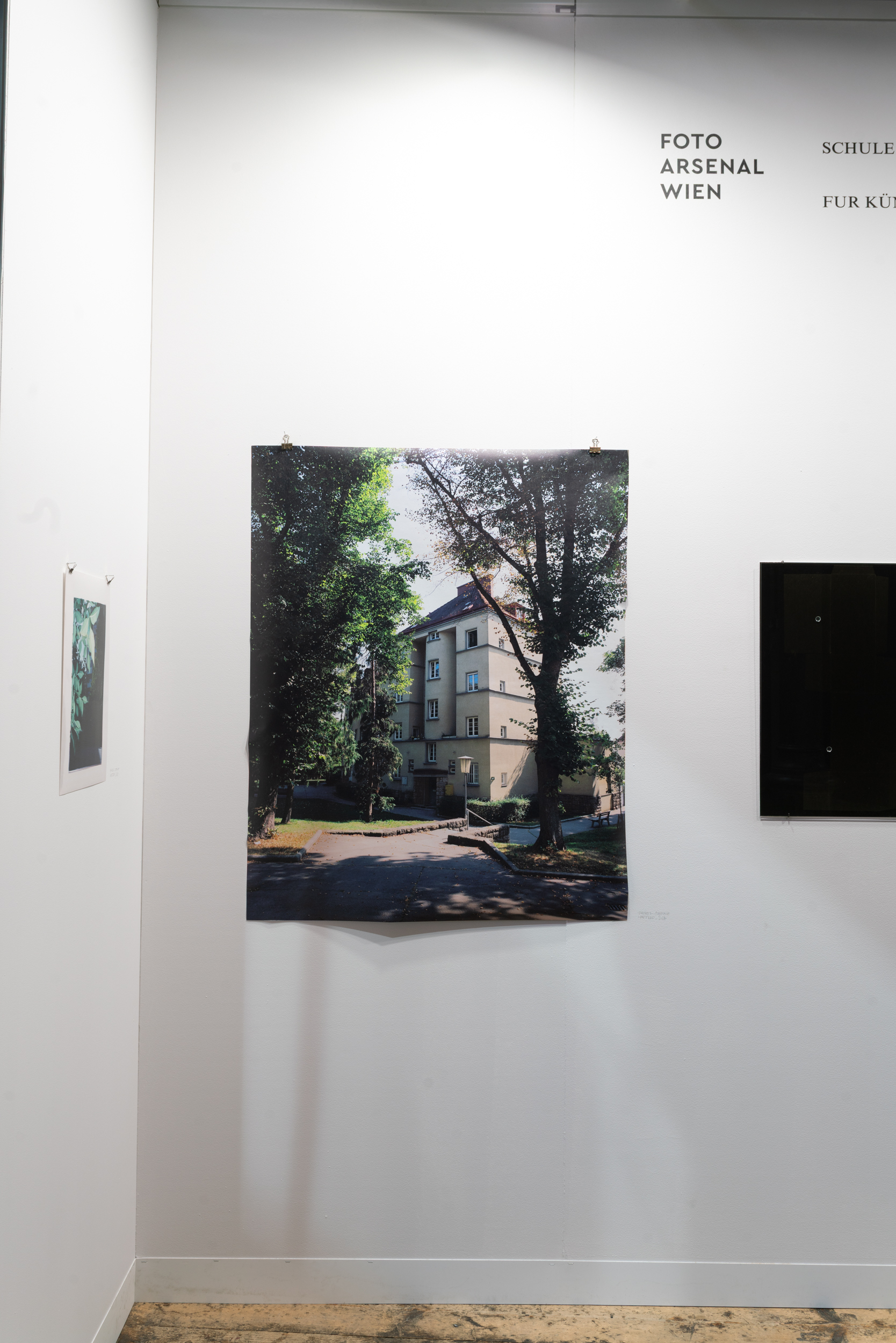Sandleiten, 2024 – großformatiger Print an einer Galeriewand mit Gemeindebau zwischen Bäumen.
